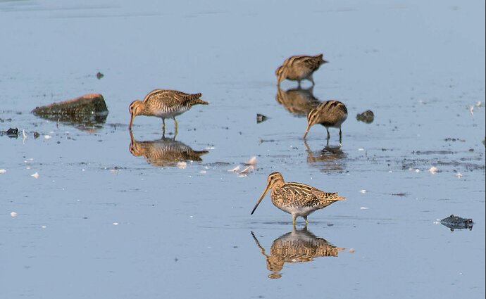 Screen Shot 2022-09-01 at 8.26.45 PM