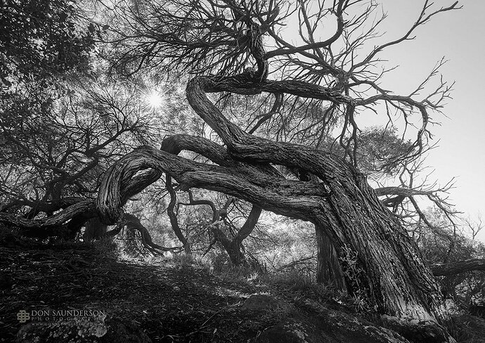 Stockton Anna Bay copy