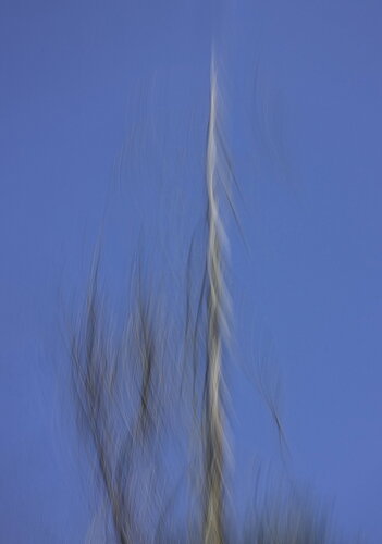 Revision 1 - _49A4343-Edit-Edit.jpg