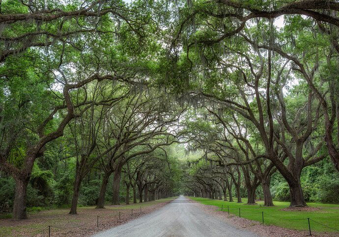 Wormsloe Plantation