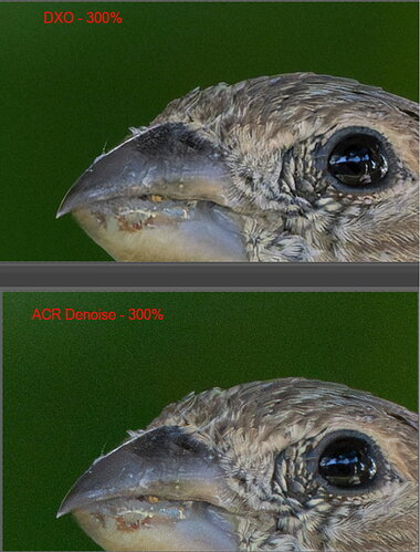 7-DXO-vs-ACR-compare-300