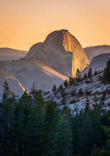 TN2024-_MG_5403-Edit-2-NPN copy.jpg