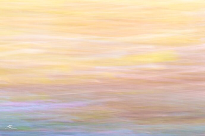 -20231021-_A1_8271-BooCoda-Edit-2