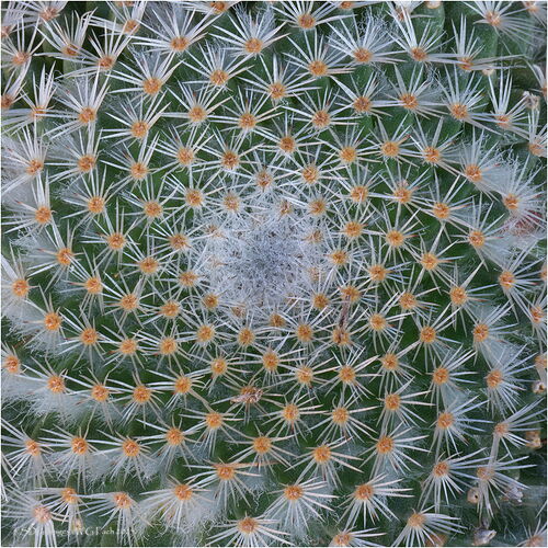 White-Hole-57727-DxO_DeepPRIME-XD2s-A7r3-25