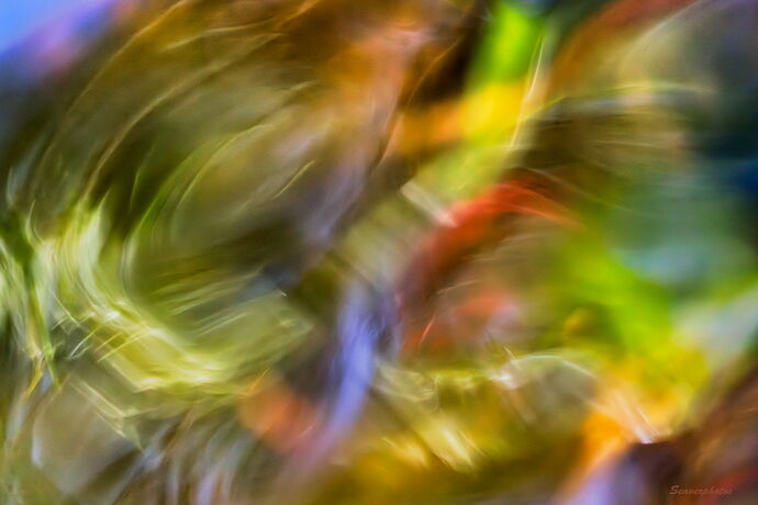 RR #4- Swirling Colors.jpg