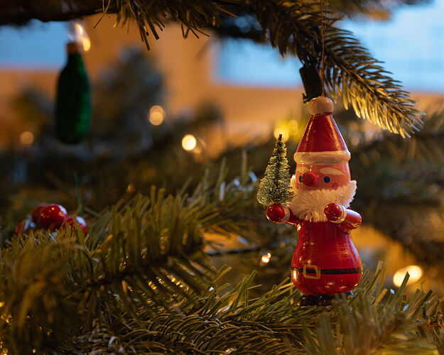 IMG5DMarkIV_0030NPNWebLrg-NPNWebLrg 4.9mb-2