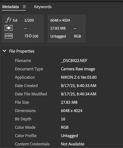 CT Metadata.jpg