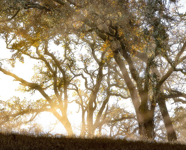 _49A0496-Edit-2-Edit-3