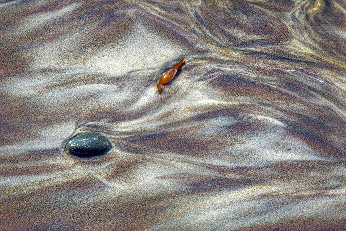 What's Left Behind.jpg