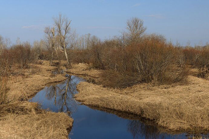 4-29-20 - WaitingForSpring-Cropped-