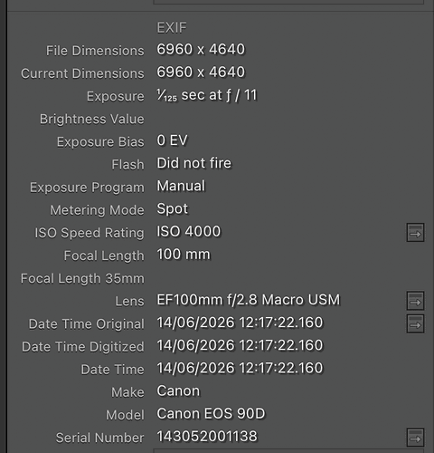 Metadata screenshot