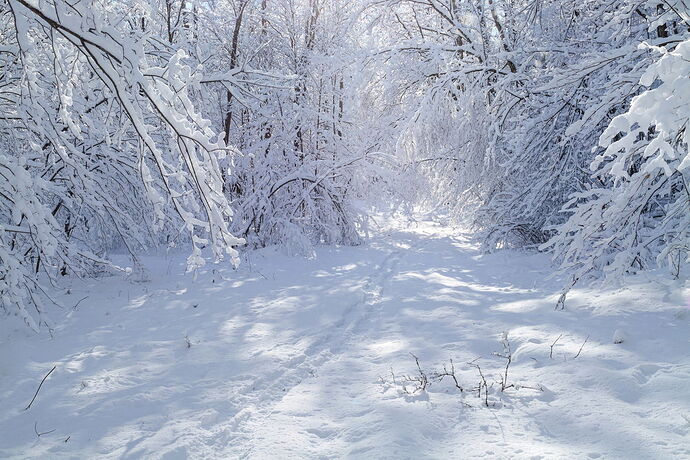 Kristen_SmithJanuary 02, 2026_1013017