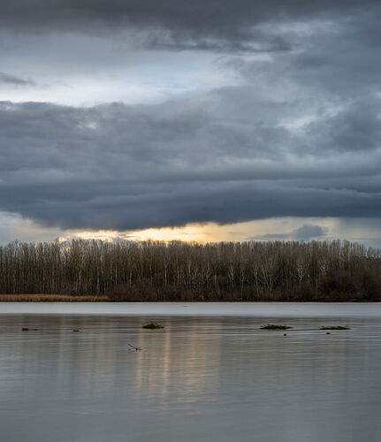 JQ_20260117_011-Edit-copy_Flickr--500px_2048x1434_U_90