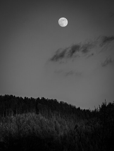 20250112-DSCF0959