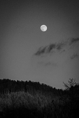 DSCF0959.jpg