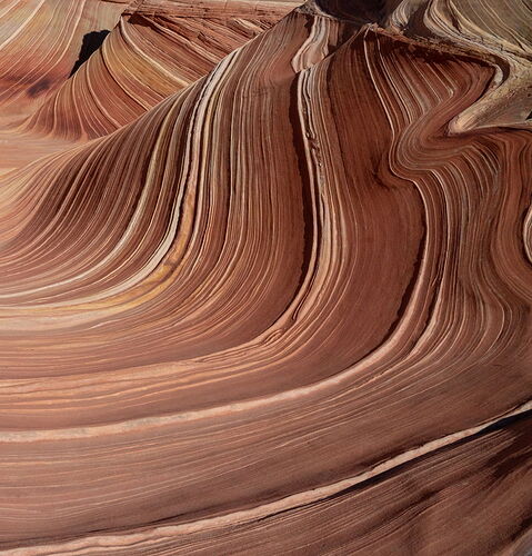 The Wave-2