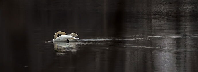 untitled-2-copy.jpg