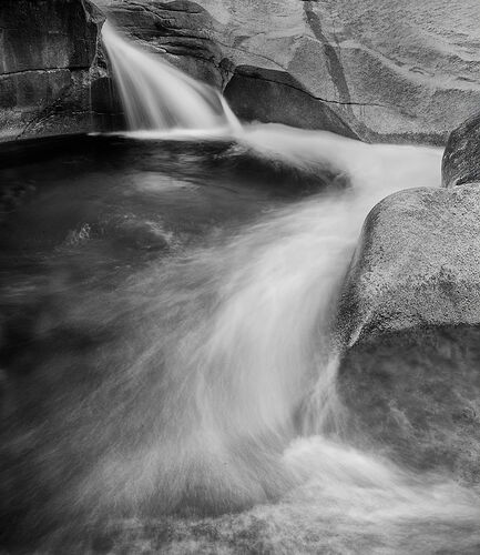 _DSC5868-2 copy.jpg