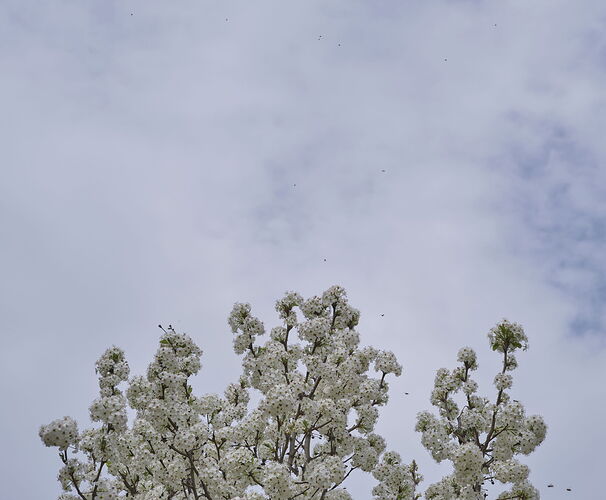 DSCF3134.jpg