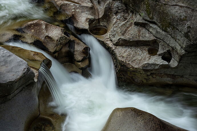 _DSC4588 copy.jpg