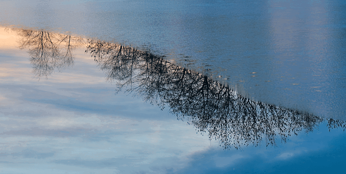 2026-01-14_GGS_9165-topaz2-cropped