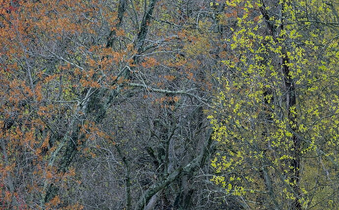 _DSC5373-2 copy pano copy #3 copy