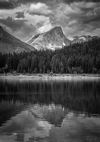 TN2025-_MG_6989-Edit- NPN.jpg