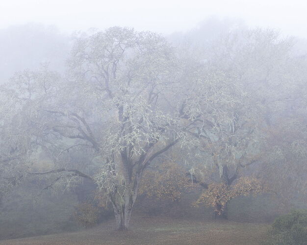 _49A5038-Edit-2 copy