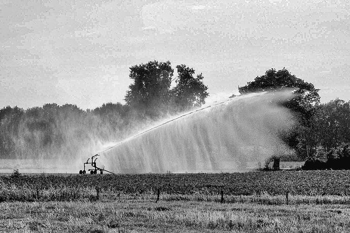 Dubbroek_IMGP7163_DxO-3 mono