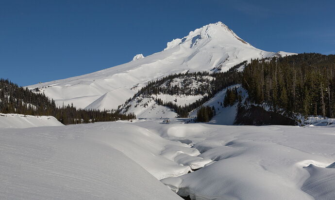 IMG5DIII_0733NPNWebLrg