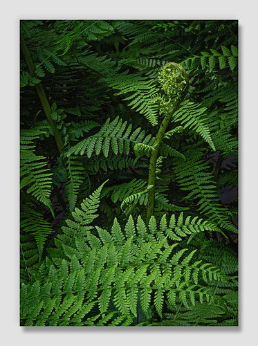 2025-10-05 12-18-20 (C,S4) end copy.jpg