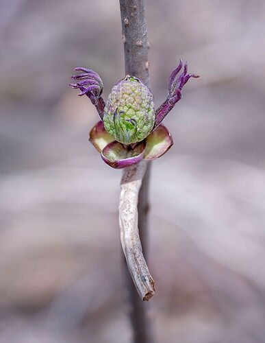 Woo-hoo! It's spring!.jpg