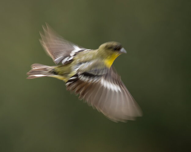 Unintentional motion blur