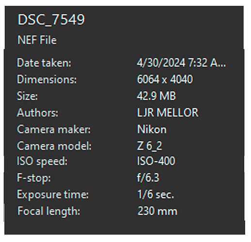 frenzy-DSC_7549-camera-data