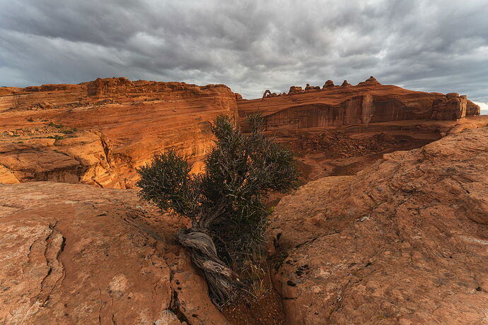 Stormy Sunrise from Delicate Arch Viewpoint II.jpg