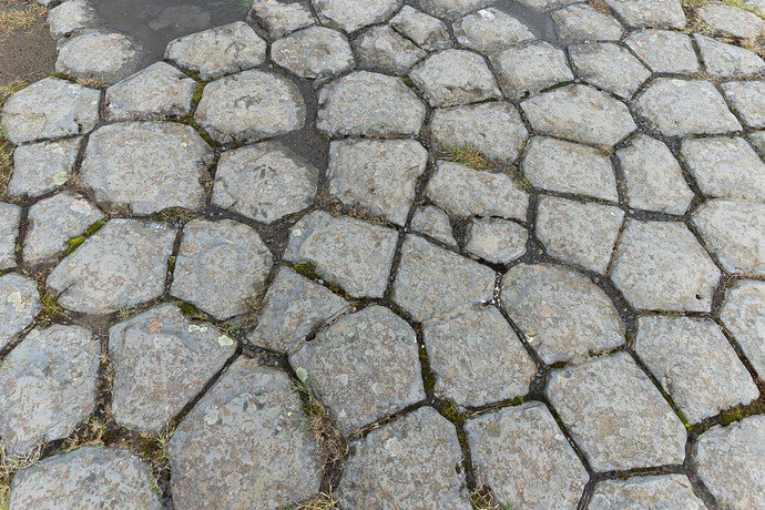 DSC03439-DxO_DeepPRIME 3-2.jpg
