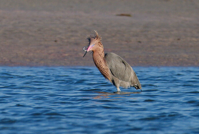 DSC_4544_DxO.jpg
