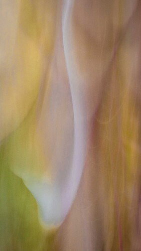 ICM with crop.jpg
