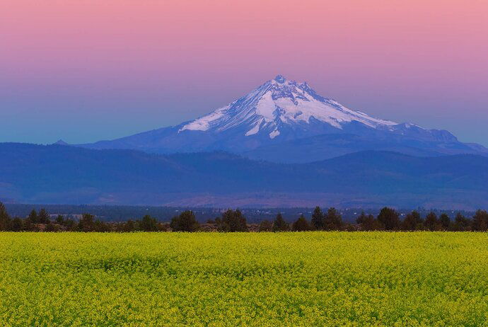 Mt Jefferson wit Mustard - repost fixed