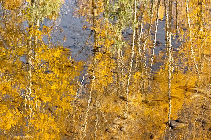 Fall on the Yellowstone.jpg