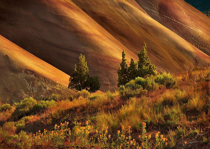 Back of Painted Hills -re-post