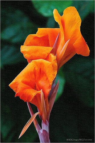 Some-Like-It-Hot-34914A77IIXXL