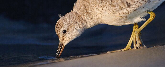 Schermafbeelding 2020-12-08 om 19.44.38