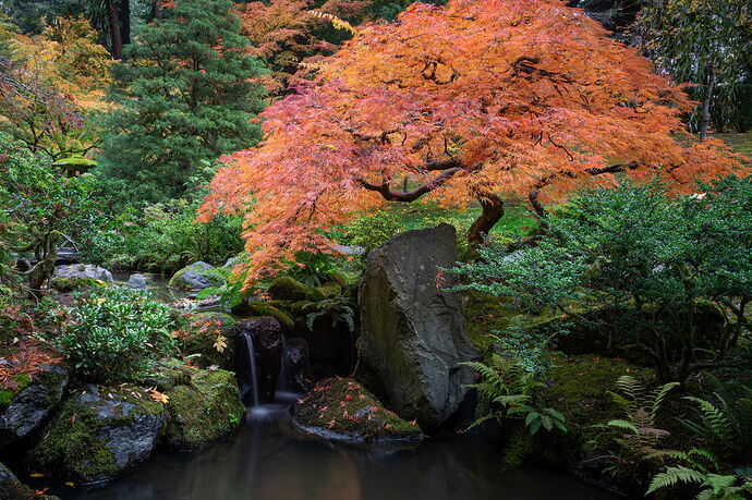 IMG5DIIIPost10k_4041NPNWebLrg-NPNWebLrg 4.9mb-8 copy