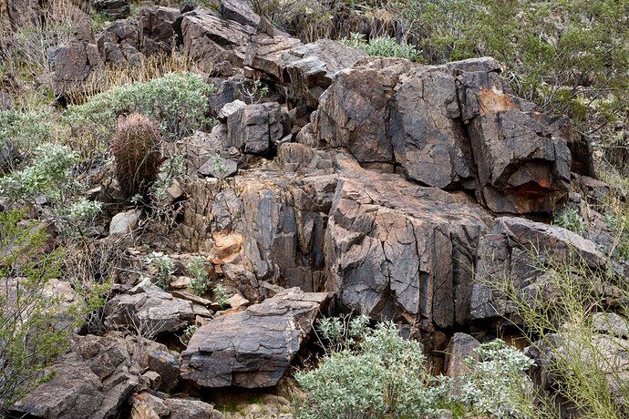 Rocks and cactus.JPG