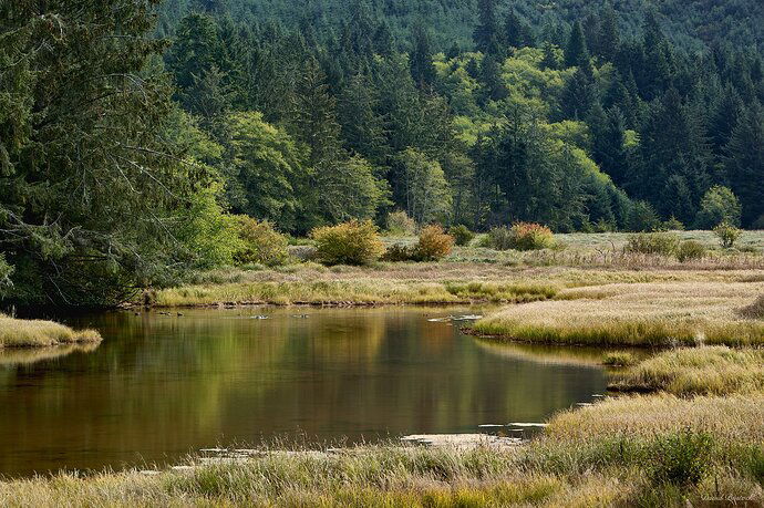 Siletz Bay Scenic