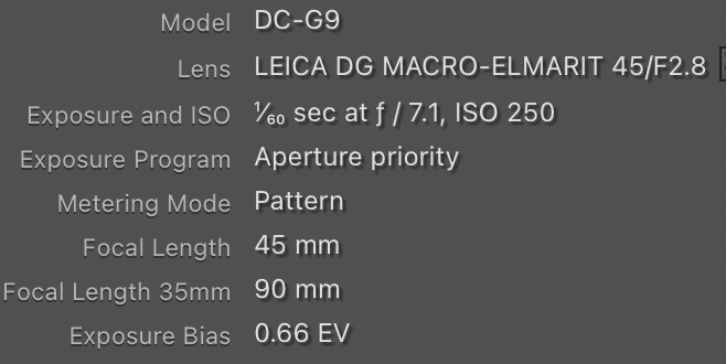 Screenshot 2026-02-15 at 7.50.05 AM