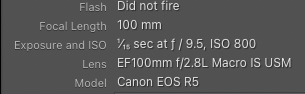 Screenshot 2026-05-17 at 10.07.09 AM