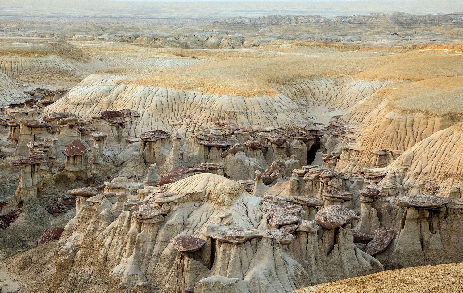 New Mexico Badlands - Image Critiques - Nature Photographers Network
