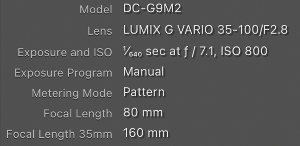 Screenshot 2026-01-31 at 6.10.13 PM